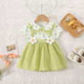 Summer New Baby Girls Dress Lapel Lace Ruffles Sweet Cute Little Flower Floral Floral Print Sweet Princess Dress.