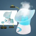 Benice Beauty Facial Steamer Nano Aromatherapy Steam Machine Spray for face and body care. 