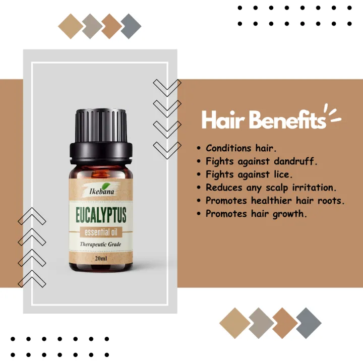 Ikebana%20Eucalyptus%20Essential%20oil%2020%20ml%20-%20Image%204