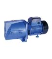 RFL Water Pump 1"X1"-0.75HP - 85006. 