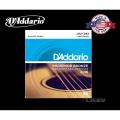 D'Addario EJ16 Phosphor Bronze Acoustic Guitar Strings, .012-.053 Light Gauge Well-Balanced Acoustic Tone.