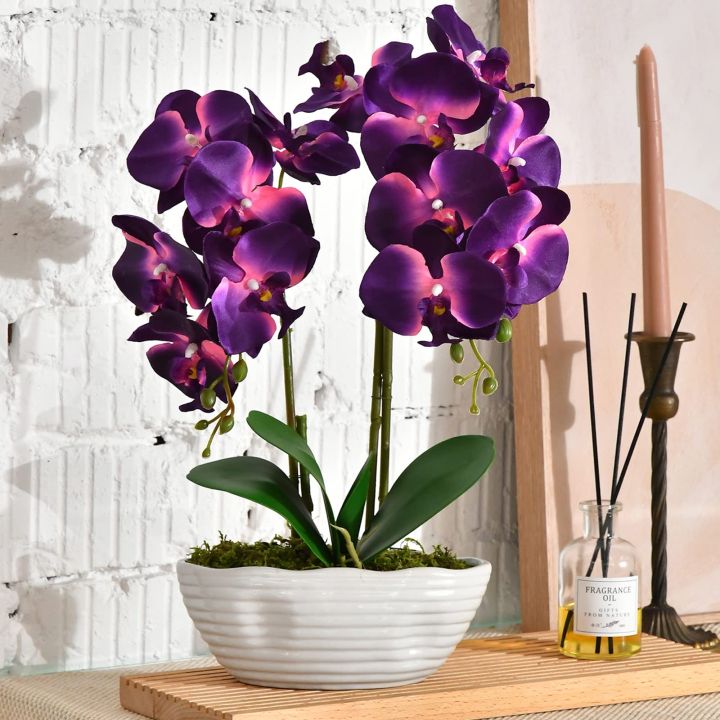 Orchid%20flower%20Artificial%20rubber%20tree%20plant%20for%20home%20decoration.%20flower,%20flowers,%20grass,%20hanging,%20wall,%20leaf,%20carpet,%20pot,%20cutter,%20light%20stand,%20indoor%20-%20Image%208