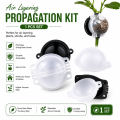 New Garden Plant Root Observation Kit with Half Transparent and Half Black Watering Propagation Box. 