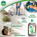 Dettol Antiseptic Disinfectant Liquid 750ml for First Aid, Medical & Personal Hygiene- use diluted. 