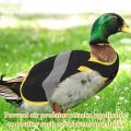 Chicken Vest Protection Adjustable Hen Saddle Apron Reflective Vest Chicken Clothes Hen Duck Chicken Saddle Apron Feather. 