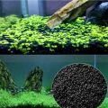 1000 pcs Aquarium Grass Seeds For Fish Tank Plants seeds- 1000Pcs. 