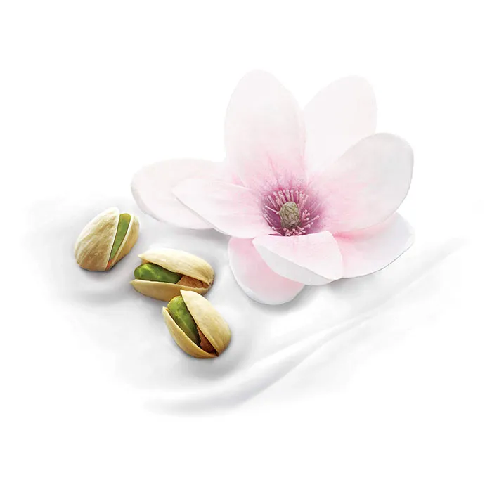 International%20Germany%20Product%20Dove%20Body%20Wash%20With%20Pistachio%20Cream%20And%20Magnolia%20(500ml)%20-%20Image%202