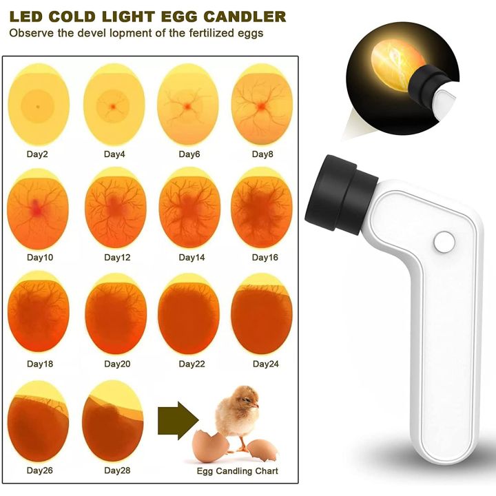 Egg%20Candler%20Tester%20Rechargeable%20Wireless%20Cool%20Light%20Incubator%20Candling%20Lamp%20with%20Two%20Soft%20Head%20Fit%20for%20All%20Eggs%20Type%20-%20Image%207