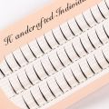 【The Edge of Beauty】DIY Eyelashes Extension Interperse Natural Vivid Individual Lashes A Shape Cluster Fishtail. 