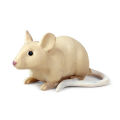 （New）Realitic Moue Rat Opoum Animal Model Figure Dek Decor Education Kid Toy. 