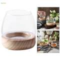 Glass Planter Plant Propagating Jar Desktop Planter for Home Indoor Garden Small. 