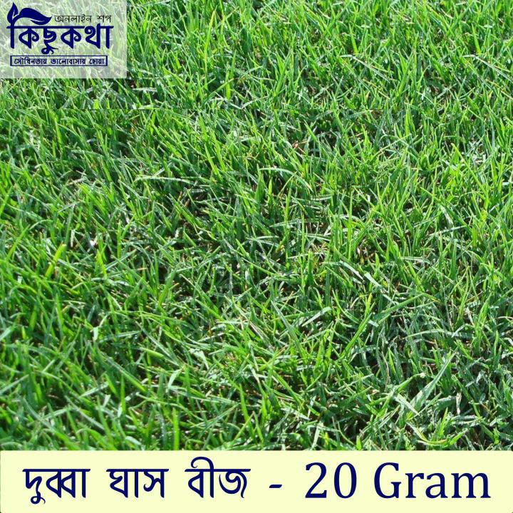 Dubba Grass Seed - 20 gm - দূর্বা ঘাসের বীজ ২০ গ্রাম বা প্রায় ৪০০০+ টি বীজ