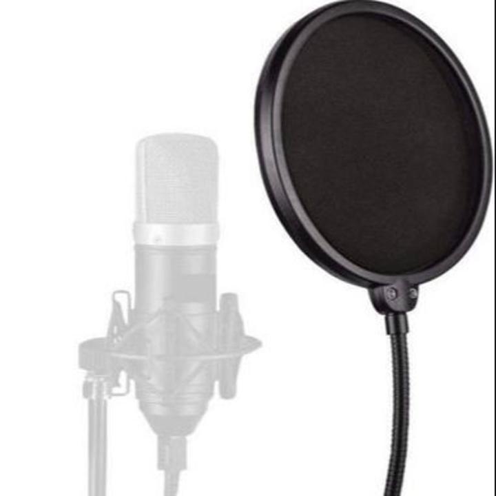 Wind Pop Filter For Microphone With Adjustable Arm