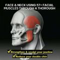 Jawline Jaw Muscle Exerciser Facial Fitness Chewing Ball Face Facial Bite Muscle Exercise Ball Mandible Trainer. 