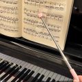 RHS Online Retractable Finger Reading Stick Pointing Stick Conductor Teaching Tools.