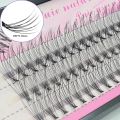 Premium Individual Dovetail Eyelash Extension Natural 3D Cluster Eyelashes Professional Makeup Flared Lashes. 