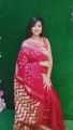 Luxurious Collection Gracious Juri Jamdani Saree Red colour Saree Same as picture Saari for woman Sari collection Saree for woman Tangail saree Shari for woman Saari for girl Saari for woman,Tangail Tat Shilpo (TAN). 