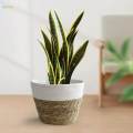 Woven Planter , with Liners Organizer Containers Boho Pots for Farmhouse Picnic Laundry Ornament , S.