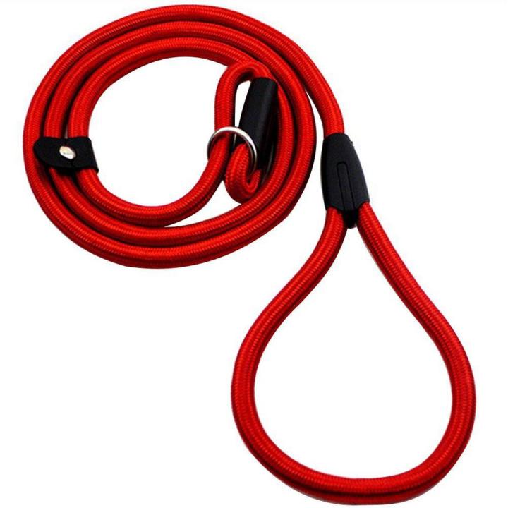 Sturdy Pet Collar Rope Nylon Dog Slip Training Walking Lead With P Chain 1cm red