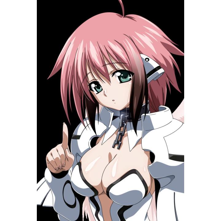 IKAROS Heaven's Lost Property SORA NO OTOSHIMONO Anime Manga Game Action Figure 3d print Toys Figure Model Table Desk Decoration Accessories