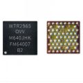 WTR-2965 Network IC. 