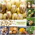 GlobalSweet Pepino Melon Pear Seeds - 15+ Seeds. 