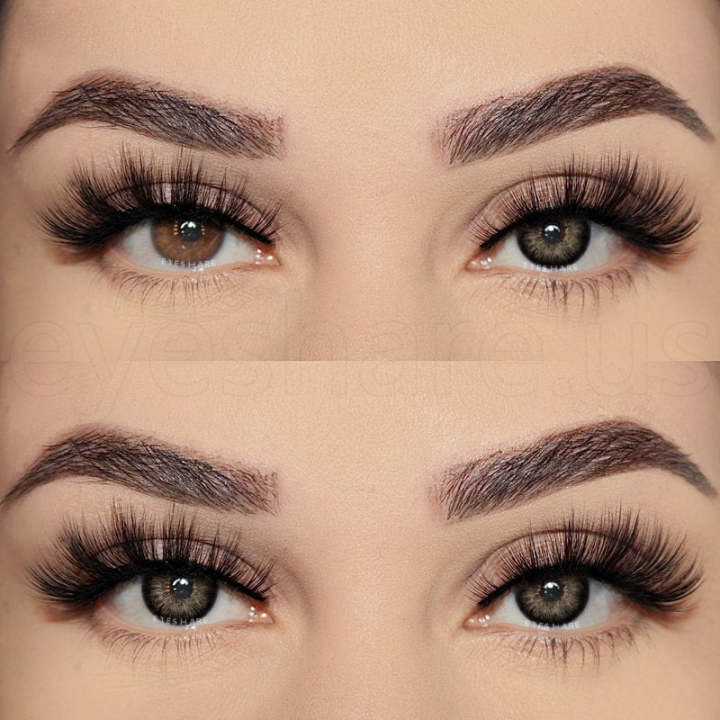 New%20Ksseye/Eyeshare%20Exclusive%20Ksseye/Eyeshare%20Pattaya%20Black%20Color%20Contact%20Lens%20With%20Regular%20Kit%20Box.%20Kisseye%20Pattaya%20Series.%20#pat.ta.ya.black%20-%20Image%205