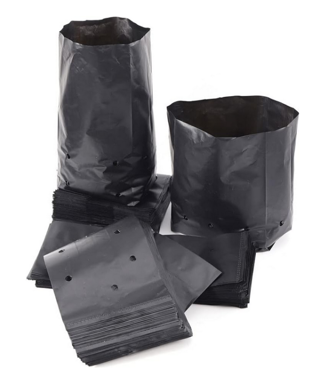 8"/8%20"%20Nursary%20%20Poly%20Bag%20Black%20%2010%20pcs%20-%20Image%205