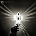 Modern Creative Bird Wall Lamp Owl Eagle Shape Projector Atmosphere Sconce Light 3D Print Body Home Decor Animal Lighting Lustre. 