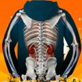 Men's Fashion Halloween Hoodie Horror Human Anatomy 3d Printed Sweater Hip Hop Funny Cosplay Hoodies.