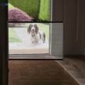 Portable Foldable Dog Gate Guard Enclosure Easily Install Lightweight Sturdy Size S. 