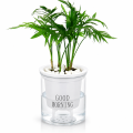 Transparent flower pots automatically absorb water round plastic hydroponic potware creative succulent plant pots 1 PCS. 