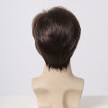 ALAN EATON Men's Dark Brown Synthetic Wig Natural Short Layered Wig Pixie Cut Hair Heat Resistant Fiber Fluffy Full Wig for Male. 