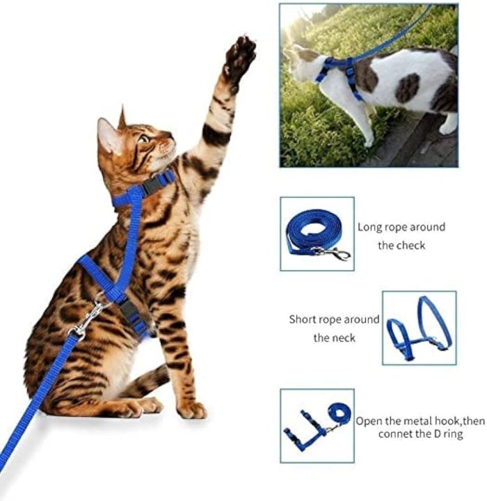Generic%20Nylon%20Pet%20Cat%20Kitten%20Adjustable%20Harness%20Lead%20Leash%20Collar%20Belt%20Safety%20Rope%20-%20multicolour%20-%20Image%204