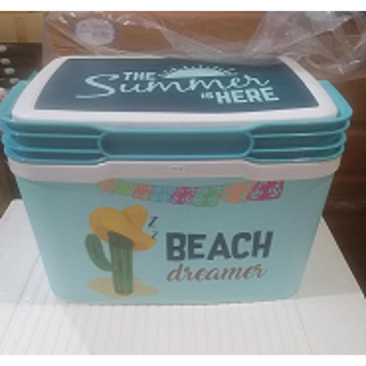 R.F.L Thermal Ice Box Food-grade -5 L | Daraz.com.bd