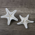 10Pcs White Knobby Star Fish Natural Dried Starfish Sea Star Beach Craft Wedding Party Home Decor DIY Hanging Ornaments Photography Props. 