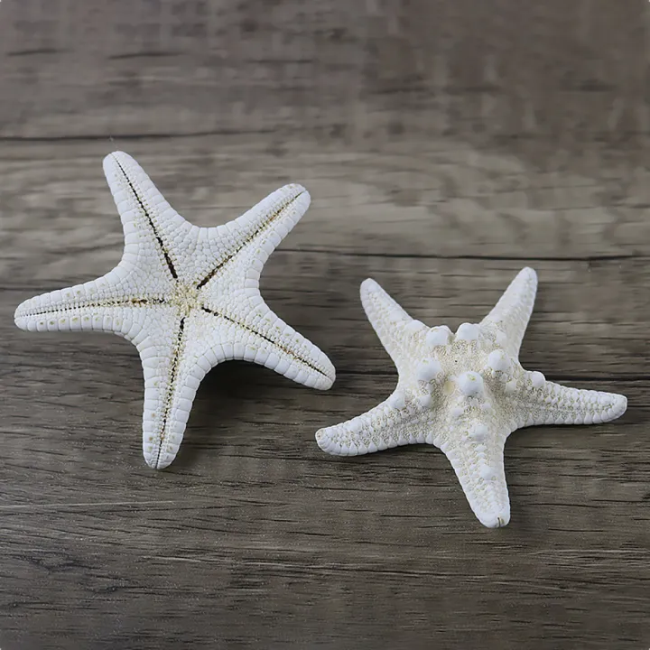 10Pcs%20White%20Knobby%20Star%20Fish%20Natural%20Dried%20Starfish%20Sea%20Star%20Beach%20Craft%20Wedding%20Party%20Home%20Decor%20DIY%20Hanging%20Ornaments%20Photography%20Props%20-%20Image%208