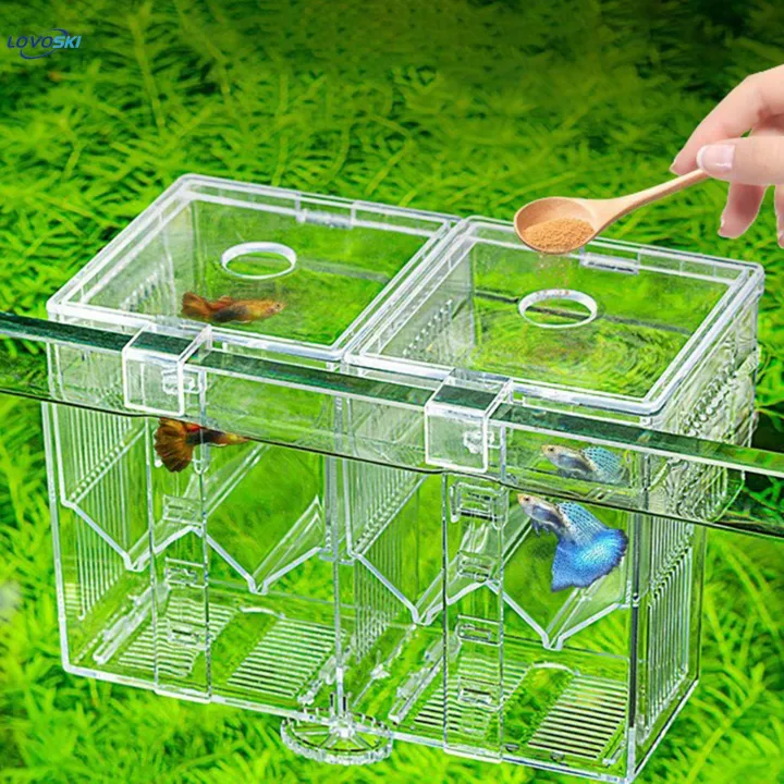 Fish%20Breeding%20Box%20Clear%20Fish%20Box%20for%20Fish%20Supplies%20-%20Image%203