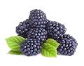 6 type mix fruit seeds 24 pic - ( Blackberries, dragon, rockmelon, greps, strawberry, Cucumis melo ). 