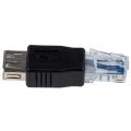 Female USB A to Male Ethernet RJ45 Plug Adapter. 