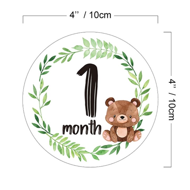 12%20Pcs/Set%20Newborn%20Milestone%20Memorial%20Month%20Stickers%20Floral%20Baby%20Monthly%20Stickers%20Photography%20Commemorative%20Card%20-%20Image%204