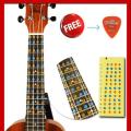 Ukulele Decals Fretboard Note Decals Sticker for Ukulele Beginners with free 1 picks. 