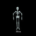 (New)32/90/150cm Poeable Human keleton Halloween Decoration Party Prop.
