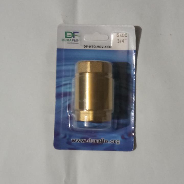 3/4" Spring Check Valve