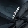 Car canibeat hellaflush front glass sticker B-47. 