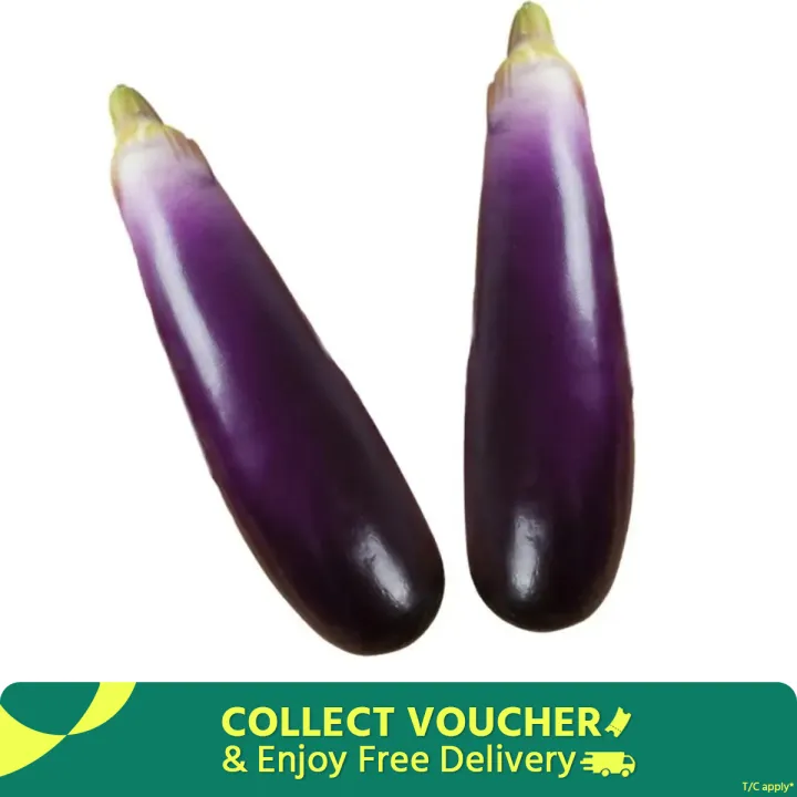 Kids%20Teaching%20Toy%20Foam%20Artificial%20Eggplants%20Soft%20Lifelike%20Simulation%20Eggplants%20Handicrafts%20Eggplants%20Model%20Window%20Display%20Props%20-%20Image%202