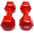 Vinyl Dumbbell 1 Kg with Pair. 