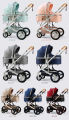 Belecoo Baby Stroller 2 in 1/3 in 1 High Landscape Pushchair Reclining Baby Carriage Foldable Pushchair Cradle Puchair.