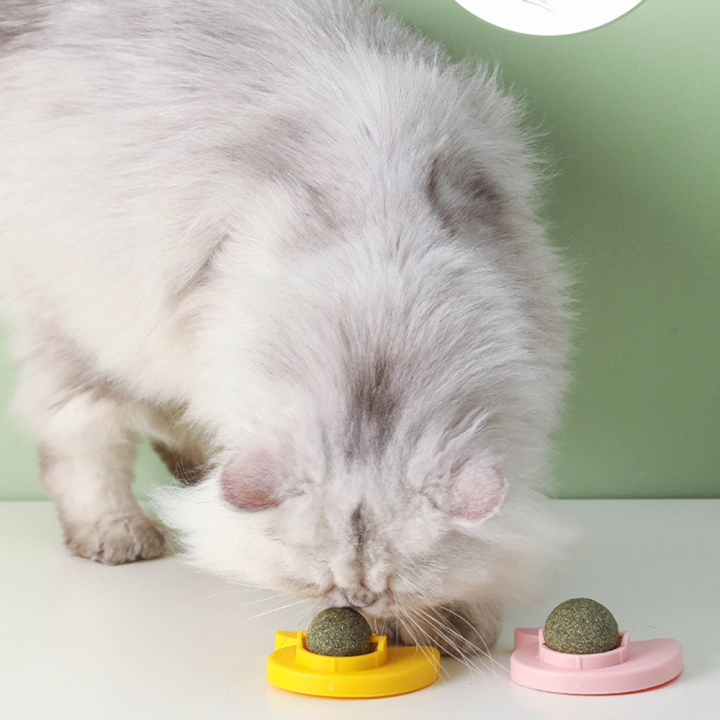 thumbnail image 2 of Deago 3 Pack Catnip Balls For Cats Wall, Edible Cat Nip Licking Balls, Safe Healthy Cat Nip Ball Rotatable Catnip Roller Cat Teeth Cleaning Relieve Cat Anx 2 of 13