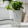 Transparent Double Layer Flower Pot Plastic Self Watering Flowerpot Cotton Rope Watering Potted Planter with Injection PortBasketball. 